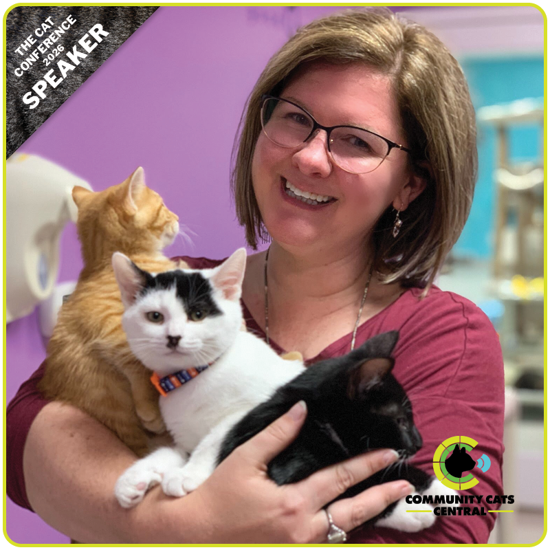 The Cat Conference 2026