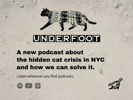 CCC_SponsorAd_Underfoot_251219-2