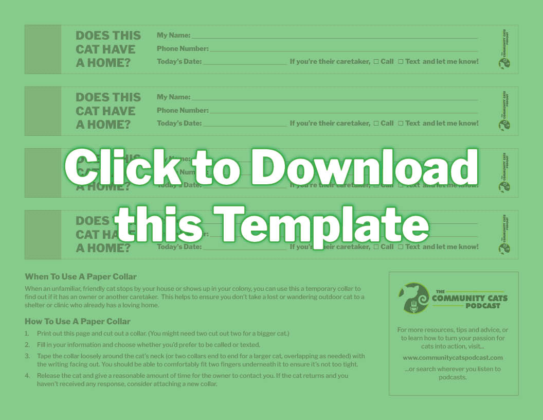 CCP_Template_PaperCollar_230430FINHover