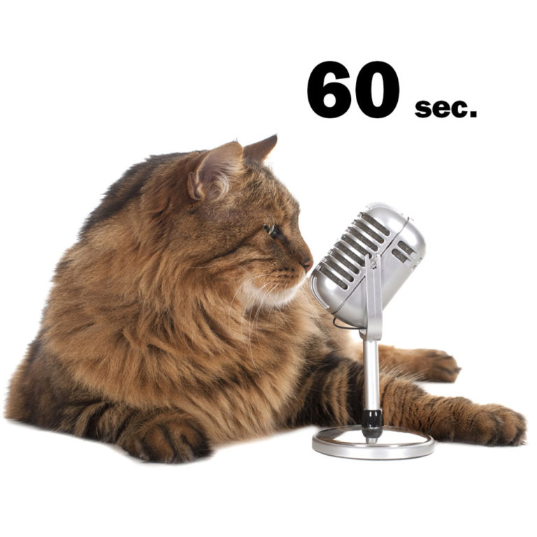 60-second Podcast Advertisement (2)
