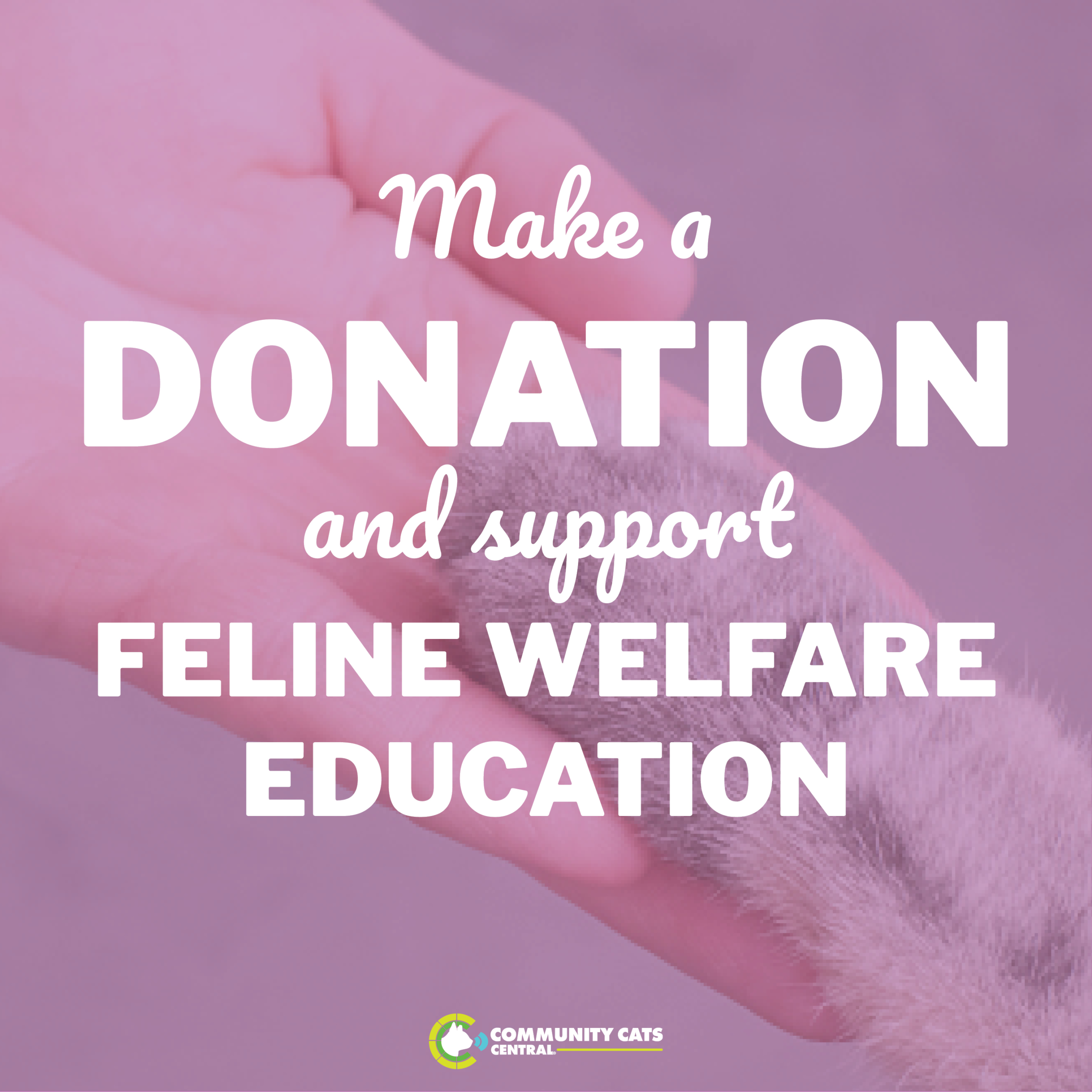 Donate to Support Our Mission